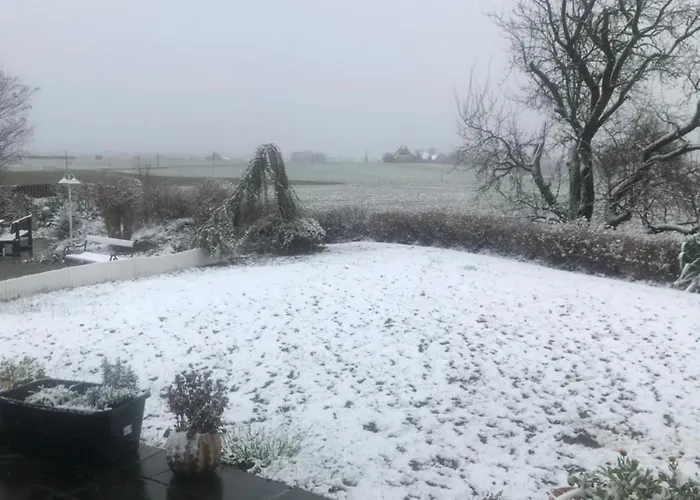 Vermieterei